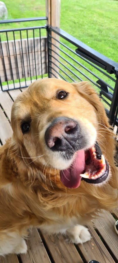 Berthon Thomas, Eleveur de Chiens à La Roche-sur-Foron