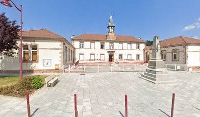 Élevage du Mont des jonquilles, Eleveur de Chiens à Jussarupt