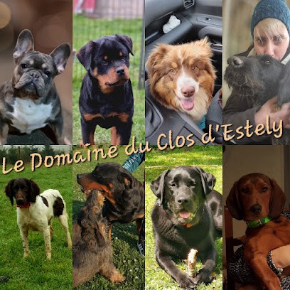 Élevage et Pension Le Domaine du Clos d'Estely (Normandie), Eleveur de Chiens à Bosquentin
