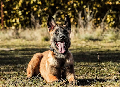Éduc' Nans - Coach Canin - Éducateur Canin, Dresseur De Chiens à Nans-les-Pins