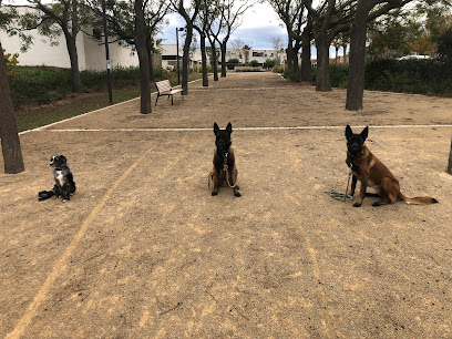Cani-Chris Comportementaliste Canin, Dresseur De Chiens à Colombiers