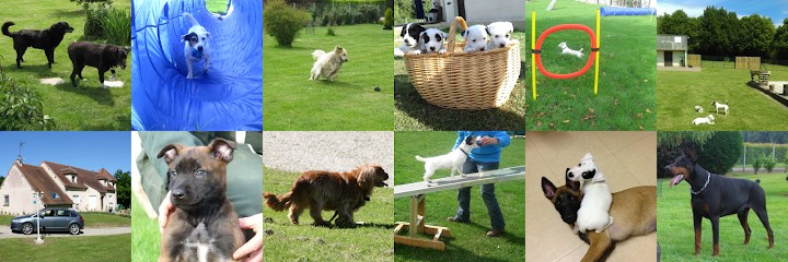 La Touche Canine Du Perche, Pension pour Chiens à Cour-Maugis sur Huisne