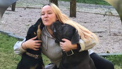 Les Copains Chiens D’abord éducatrice Et Coach En Comportement Canin, Dresseur de Chiens à Ploumagoar