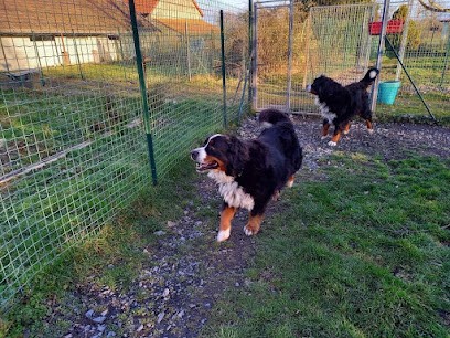 Le Mas Sagré Sulou, Pension pour Chiens à Thiel-sur-Acolin