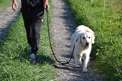 Chapitrecanin, Dresseur De Chiens à Ugine