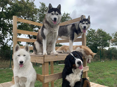 Domaine De La Plissonnière, Éleveur De Chiens aux Landes-Genusson