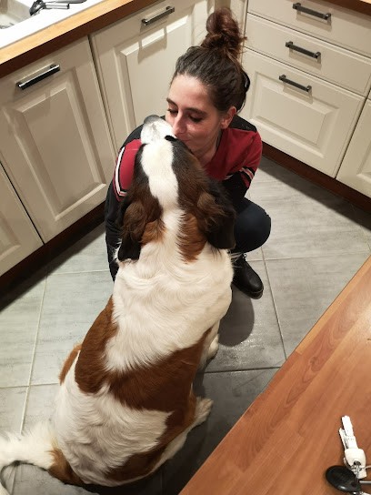 Manon Coach Canin - Éducateur & Comportementaliste Canin, Dresseur de Chiens à Vermelles