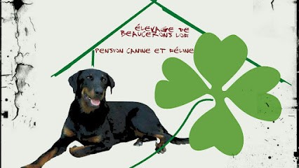Le Logis du Trèfle, Pension pour Chiens à Montmérac