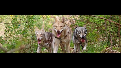 SHUNKA WAKAN, Pension pour Chiens à Ombrée d'Anjou