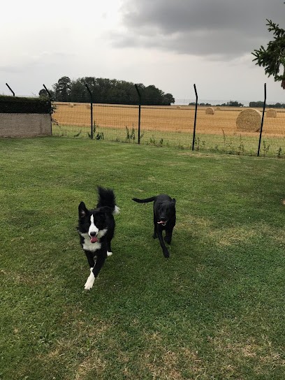 Culture Canine - Educateur Canin - Pension Canine, Dresseur de Chiens à Unverre
