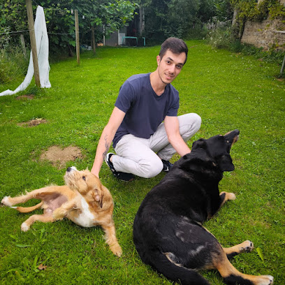 Educ Pets Dresseur De Chiens à Limoges