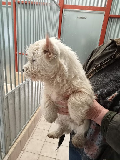 Étang des Chalands, Pension pour Chiens à Contigny