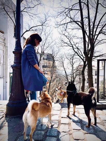 Primitif Addict - Éducation et Comportement Canin, Dresseur de Chiens à Paris 06