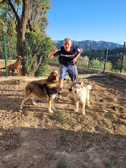 Keepdog Pension Canine, Pension pour Chiens à Marseille 11
