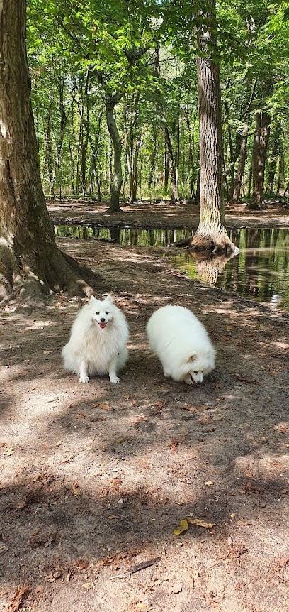Franck Philip - Dressage chiens à Paris, Dresseur de Chiens à Paris 16