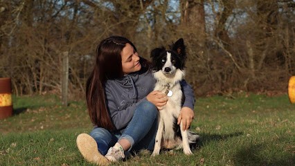 Ô P'tites Pattes De Sangha, Pension pour Chiens à Ferrals-les-Montagnes