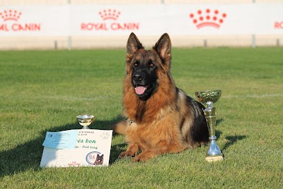 Elevage Des Crets De Charmont, Eleveur de Chiens à Val d'Oingt