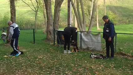 Training Club Ile Napoléon, Dresseur de Chiens à Sausheim