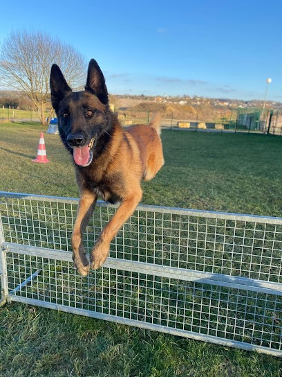ECPV-Espace Canin de la Plaine Vosgienne, Pension pour Chiens à Neufchâteau