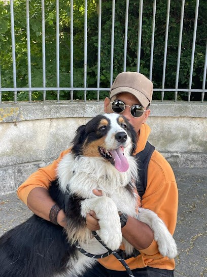 CANIN'SIDE - Dresseur de chiens - Expert en éducation canine, Dresseur de Chiens à Villiers-sur-Marne