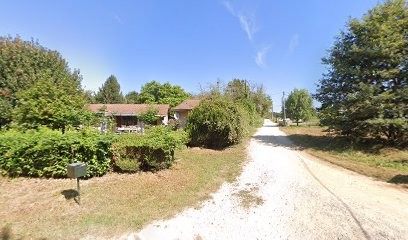 Élevage de Bouviers Bernois, Eleveur de Chiens à Bernos-Beaulac