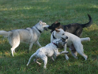 Les Enseignements D'Apache - Domaine Des Hurons, Pension pour Chiens à Sully-sur-Loire