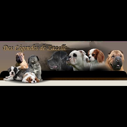 Des Legendes de Zazelle, Eleveur de Chiens à Castelnau-de-Lévis