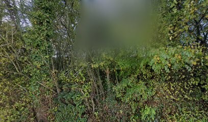 Chiens Malins 76, Dresseur de Chiens à Saint-Antoine-la-Forêt