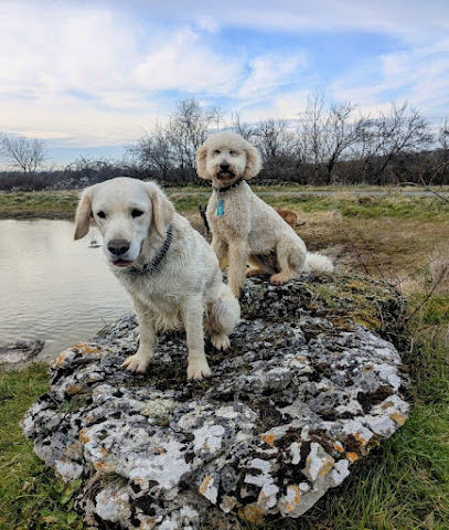 Les 4 Pattes Quercynoises - Pension Pour Chiens - Taillefer Haut Martel Pension Pour Chien à Martel