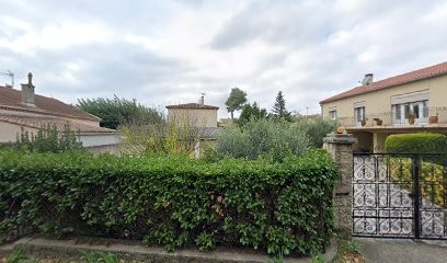 Berger Australien, Eleveur de Chiens à Salon-de-Provence