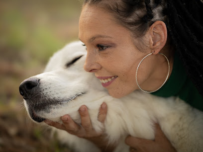 La Colo Câlins, Pension Pour Chien à Contes