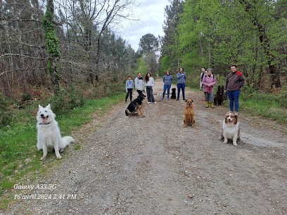 Accron'imaux Éducateur Canin Et Centre De Formation Educateur Canin, Dresseur de Chiens à Portets