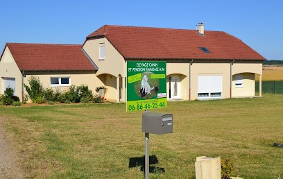 AJM Canin, Eleveur de Chiens à Gravelotte