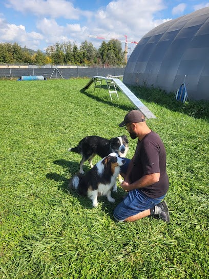 Dog's Hope L'espoir Du Chien, Dresseur de Chiens à Saint-Hilaire-du-Rosier