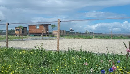 Canine Educator Fleurance And Equitherapy À Fleurance Gers, Dresseur de Chiens à Réjaumont