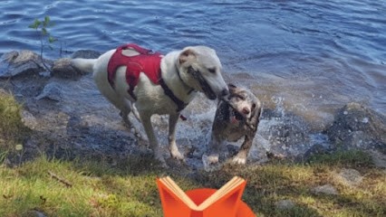 Pension canine familiale des renardières, Pension pour Chiens à Perpezac-le-Noir
