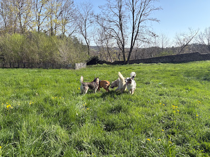Canikool Educateur Comportementaliste Canin Dresseur De Chiens à Annonay