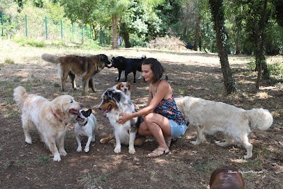 Coeur Sur Pattes, Pension pour Chiens à Leyrieu