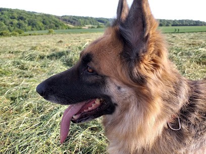 Le Domaine De L'antre Des Loups, Pension pour Chiens à Fontaine-sur-Somme