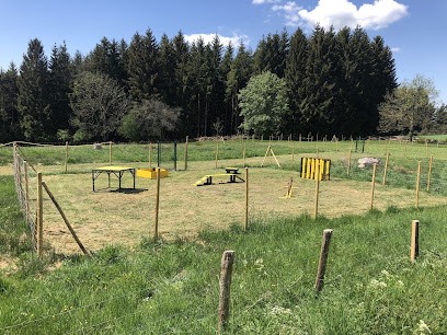 Education Canine Des Murmures De La Foret, Dresseur de Chiens à Saint-Pal-de-Mons