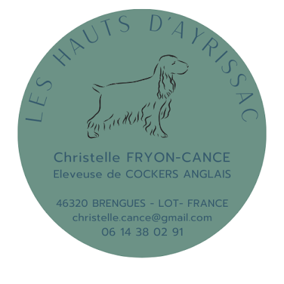 Elevage Des Hauts D'ayrissac / Cocker Anglais, Éleveur De Chiens à Brengues
