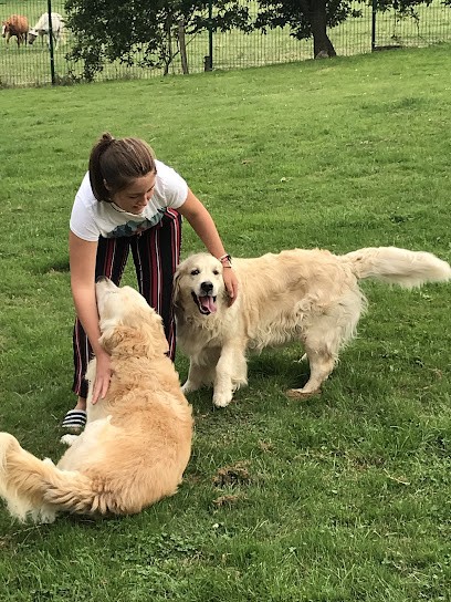 LA COMPAGNIE CANINE, Pension pour Chiens à Landudal