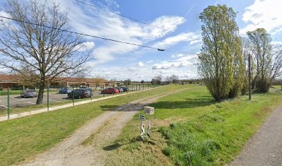 Tylou éducateur Canin - Soins énergétiques Sur Les Animaux, Dresseur de Chiens à Montech