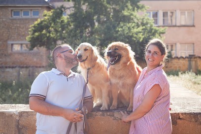 Elevage des Sept Royaumes, Eleveur de Chiens à Perreux