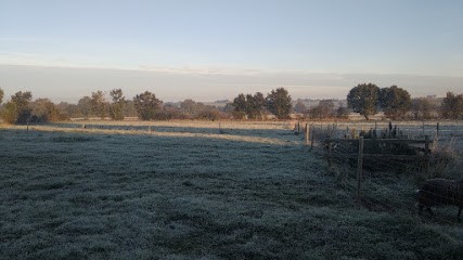 Le Domaine De Touffu, Pension pour Chiens au Pin