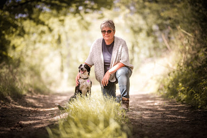 Centre D'éducation Canine Saint Sauveuraise, Dresseur De Chiens à Saint-Sauveur-le-Vicomte