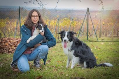 Maelenn Curien, Dresseur de Chiens à Strasbourg