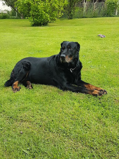 Prieux Jean-Bernard, Pension pour Chiens à Criquetot-sur-Longueville