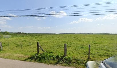 Canem Education, Dresseur de Chiens au Tronquay