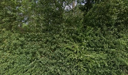 Aviot Brigitte, Eleveur de Chiens à Louvilliers-lès-Perche